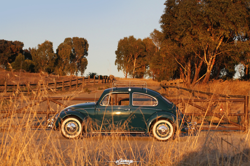 1966 VW side profile Beetle Juice 1966 Volkswagen Beetle