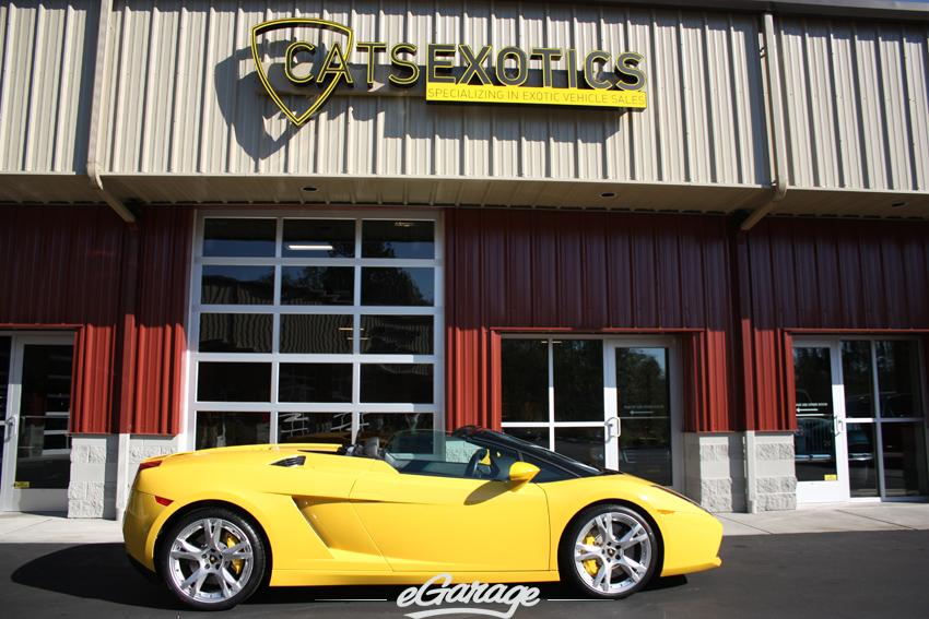 Gallardo Cats Exotics