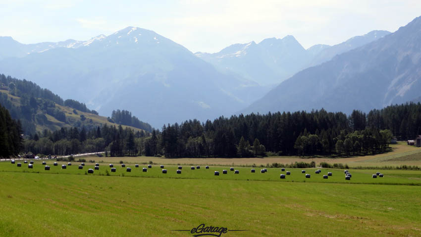 Alpine Adventure grass