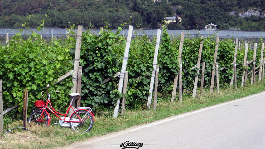 Alpine Adventure bike vineyard