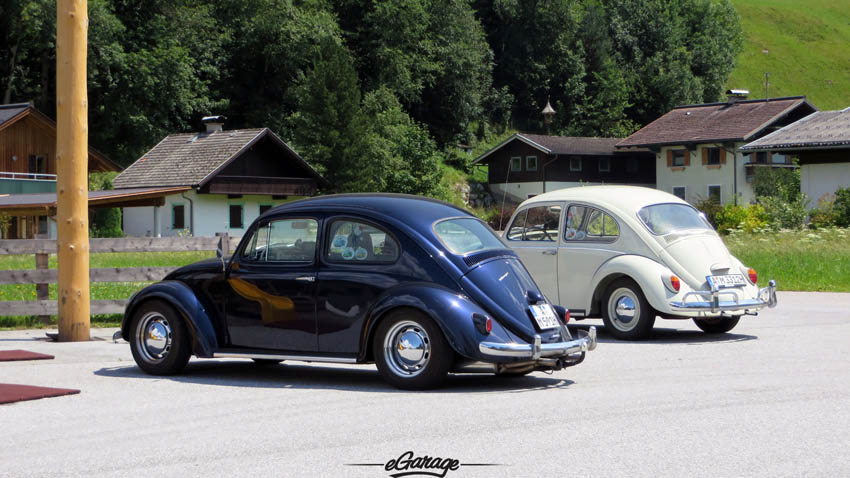 Alpine Adventure Beetles