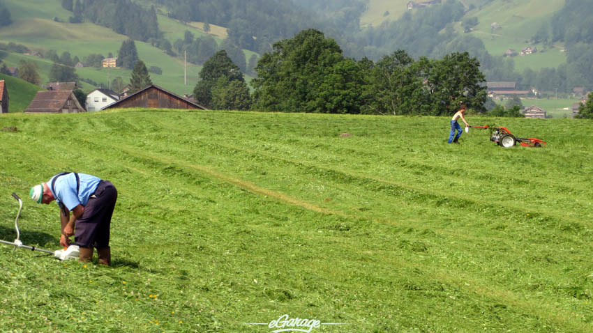 Alpine Adventure cut grass