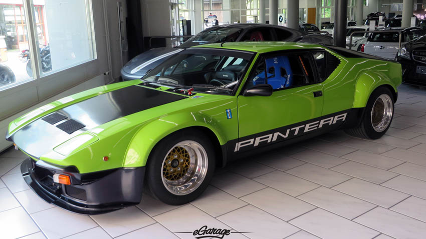 Alpine Adventure Pantera