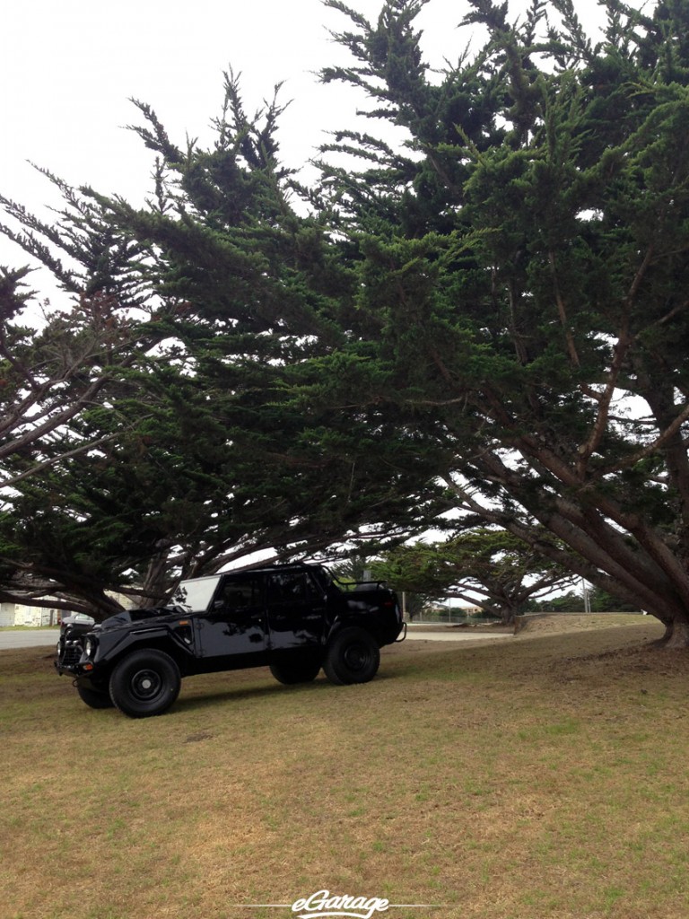 LM002 at the Presidio