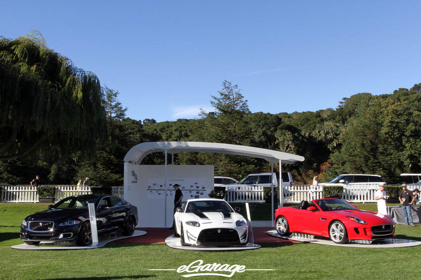 Jaguar at The Quail 2013